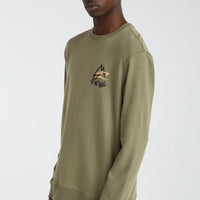 Sweater Torrey Crew | Deep Lichen Green