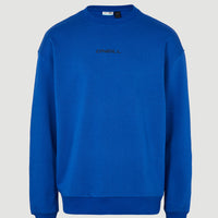 Sweater Future Surf Society | Surf the web Blue