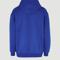 Hoodie Future Surf Society | Surf the web Blue