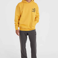 Future Surf Society hoodie | Golden Haze