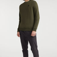 Sweater O'Neill Small Logo | Forest Night