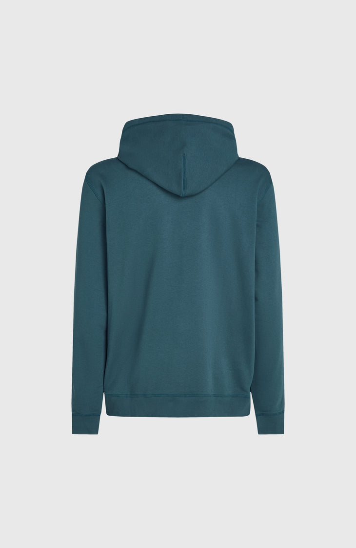 Logo hoodie | Alma Steel