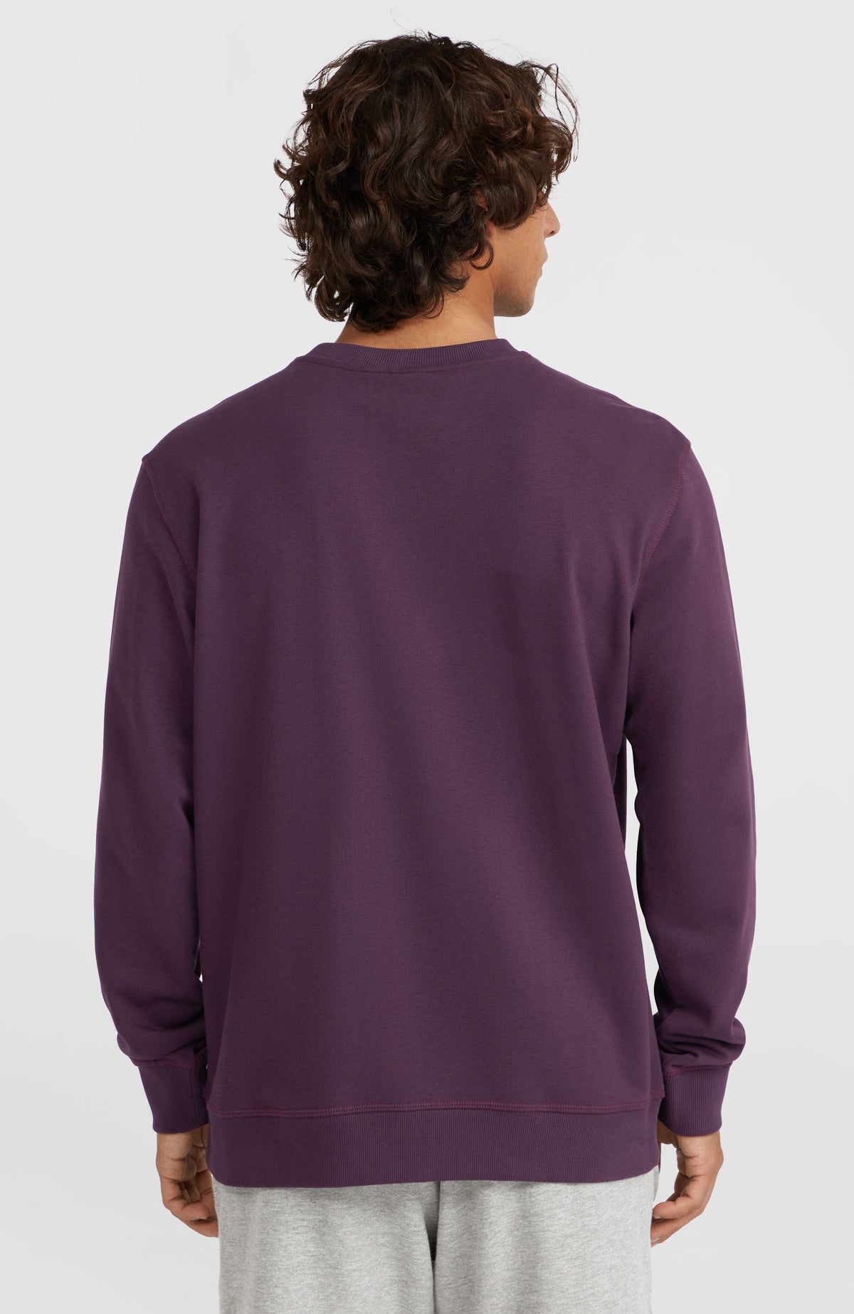 Small Logo Crew sweater | Aubergine