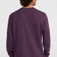 Small Logo Crew sweater | Aubergine