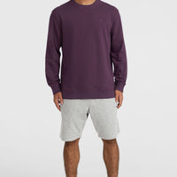 Small Logo Crew sweater | Aubergine