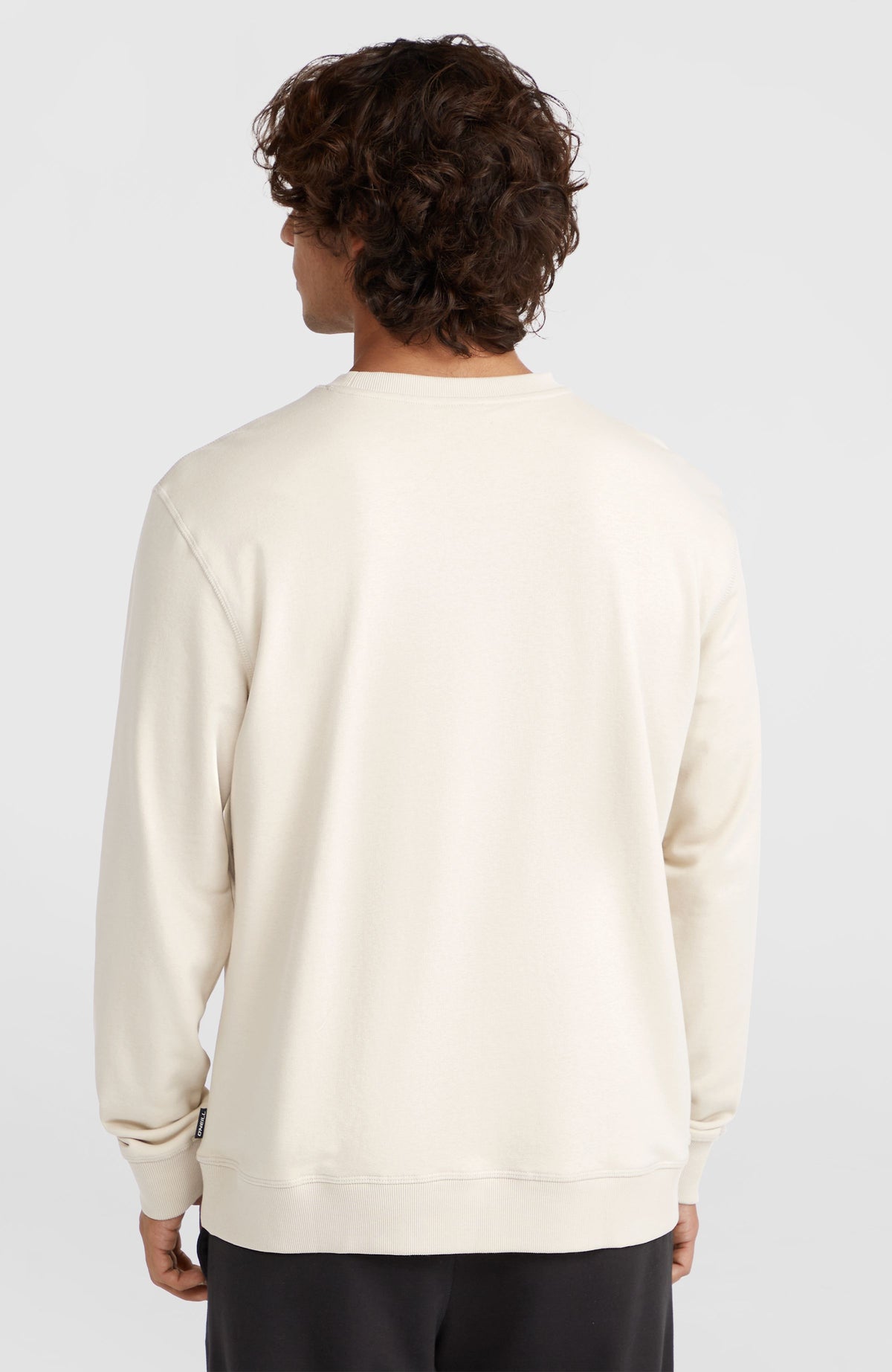 Small Logo Crew sweater | Atmosphere