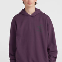 Future Surf Society hoodie | Aubergine