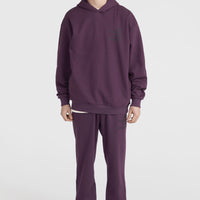 Future Surf Society hoodie | Aubergine