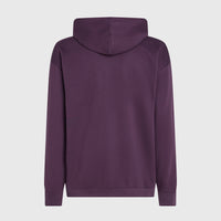 Future Surf Society hoodie | Aubergine