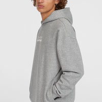 Future Surf Society hoodie | Silver Melee