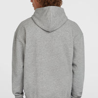 Future Surf Society hoodie | Silver Melee