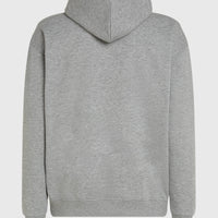 Future Surf Society hoodie | Silver Melee