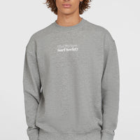 Future Surf Crew sweater | Silver Melee