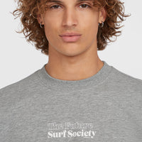 Future Surf Crew sweater | Silver Melee