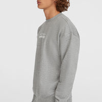 Future Surf Crew sweater | Silver Melee