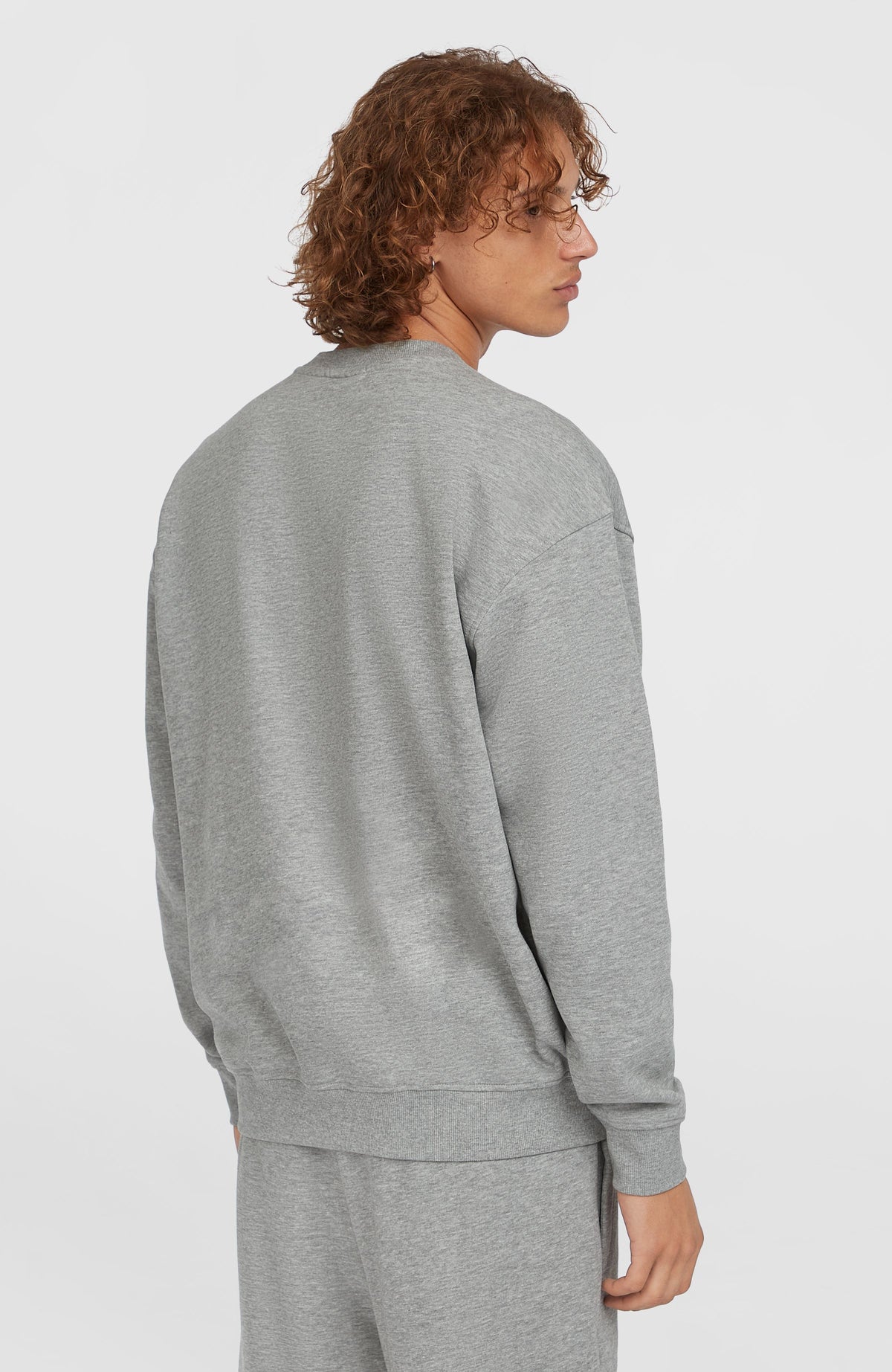 Future Surf Society Crew sweater | Silver Melee