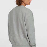 Future Surf Crew sweater | Silver Melee