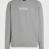 Future Surf Crew sweater | Silver Melee