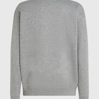 Future Surf Crew sweater | Silver Melee