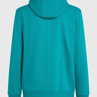 Graphic hoodie | Island Breeze