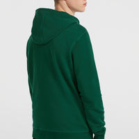 Small Logo hoodie met volledige rits | Emerald Envy