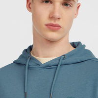 Small Logo hoodie | Mozart Blue