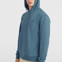 Small Logo hoodie | Mozart Blue