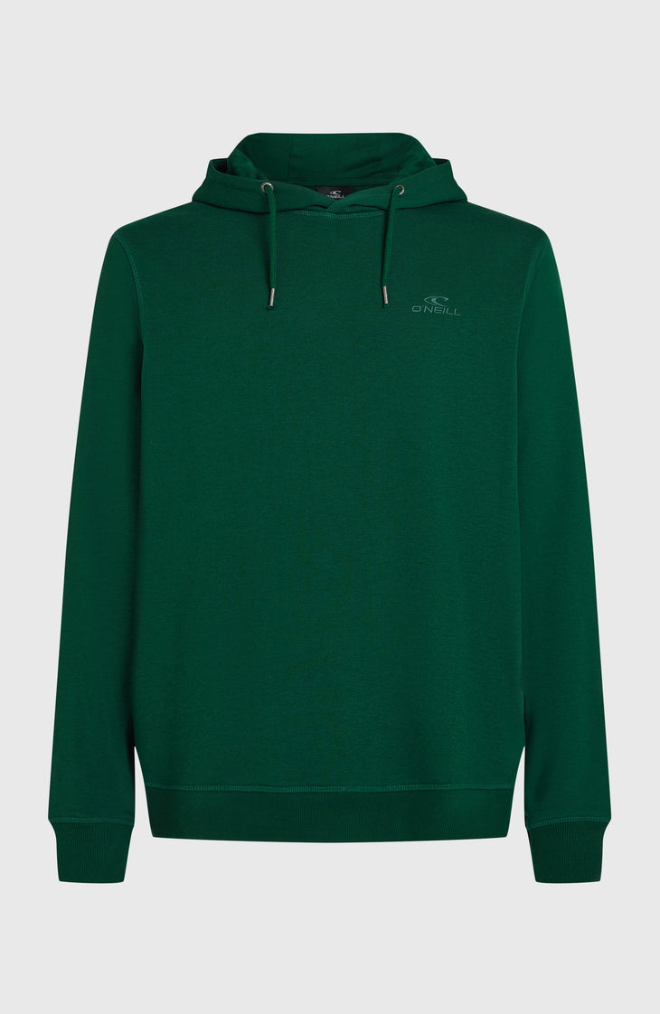Small Logo hoodie | Emerald Envy