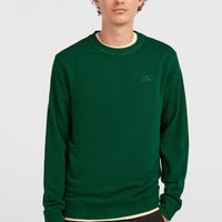Small Logo Crew sweater | Emerald Envy