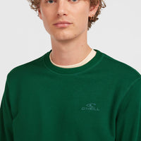 Small Logo Crew sweater | Emerald Envy
