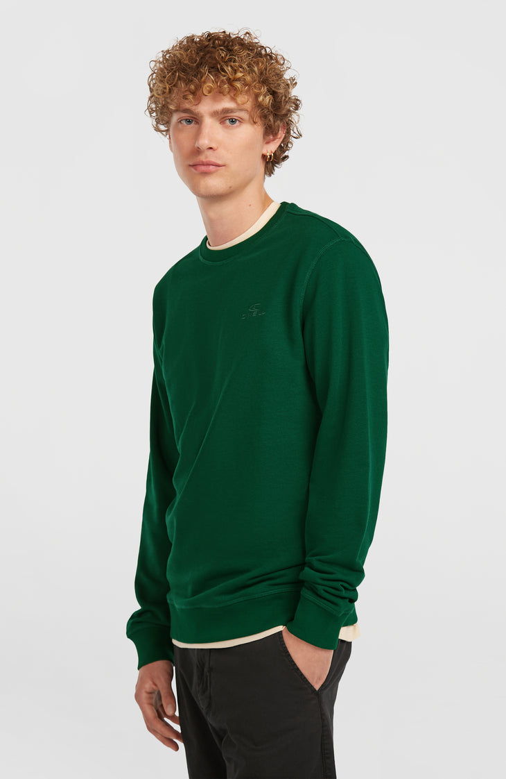 Small Logo Crew sweater | Emerald Envy