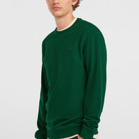 Small Logo Crew sweater | Emerald Envy