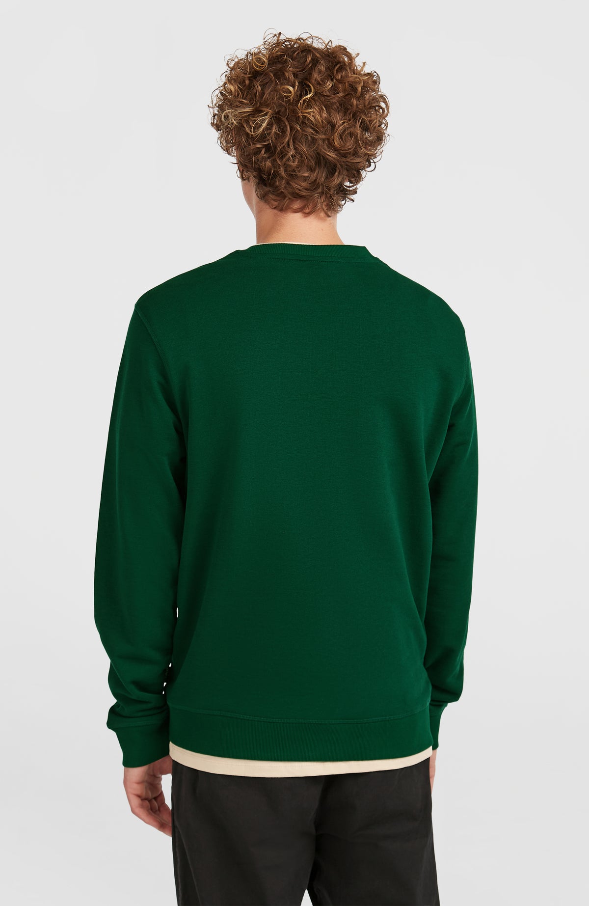 Small Logo Crew sweater | Emerald Envy