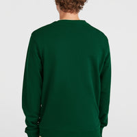 Small Logo Crew sweater | Emerald Envy