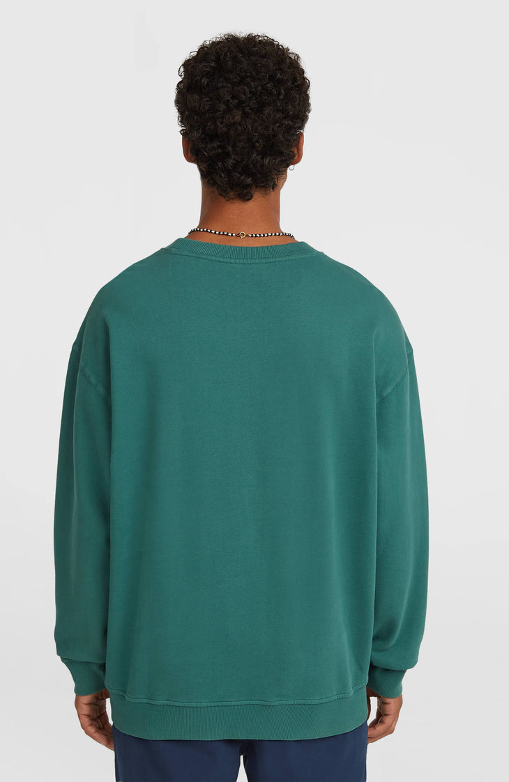 O'Riginals Crew sweater | Botanical Heat