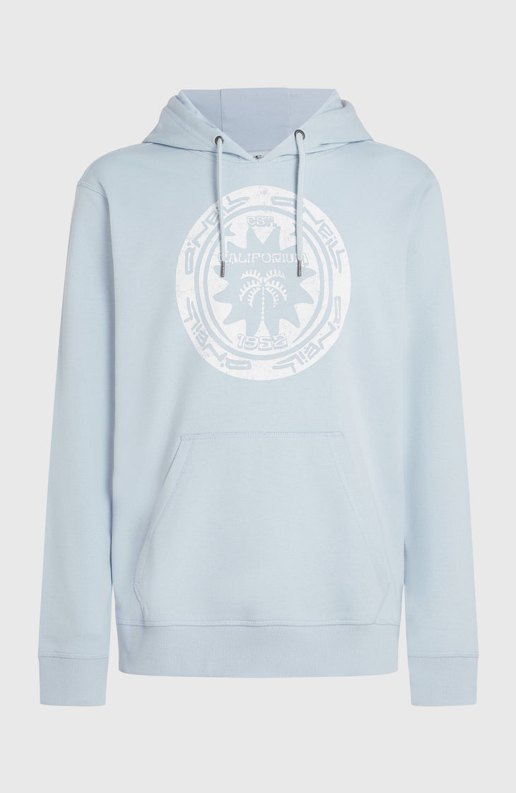 O'Neill Must-Have Graphic hoodie | Spindle