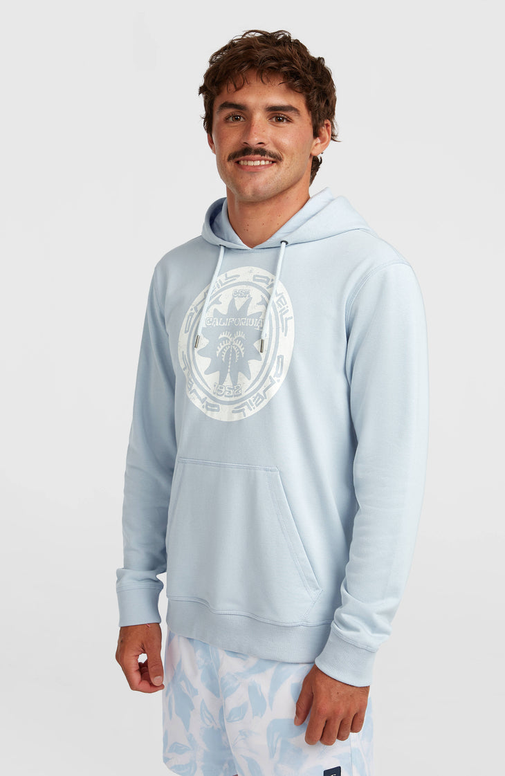O'Neill Must-Have Graphic hoodie | Spindle