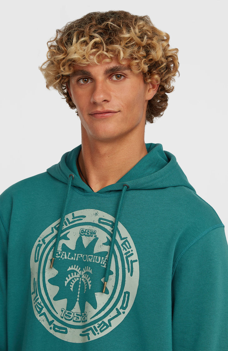 O'Neill Must-Have Graphic hoodie | Botanical Heat