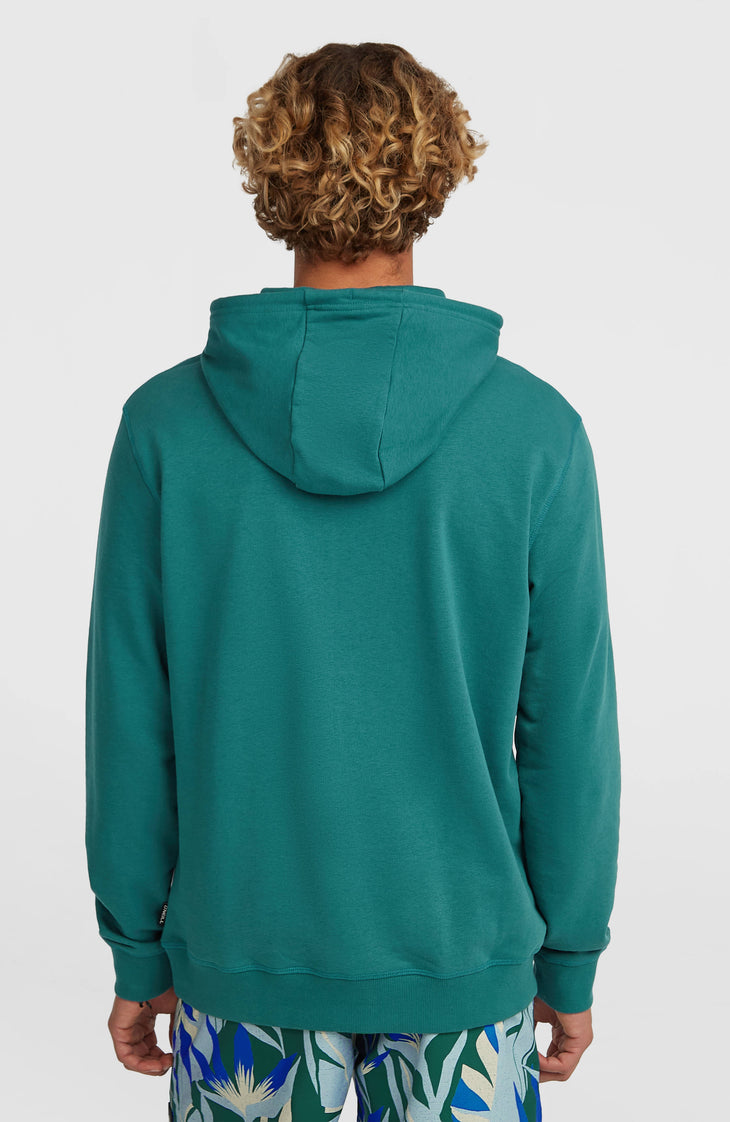 O'Neill Must-Have Graphic hoodie | Botanical Heat