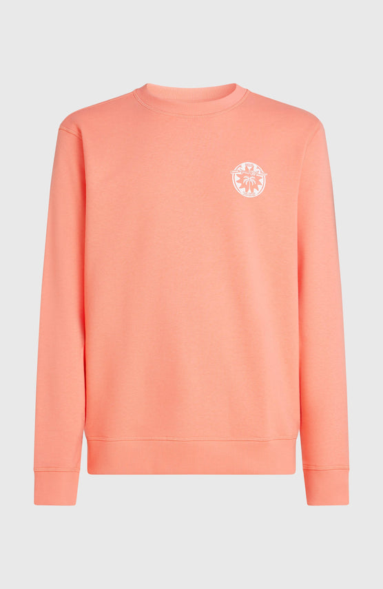 O'Neill Must-Have Graphic Crew sweater | Funky Peach