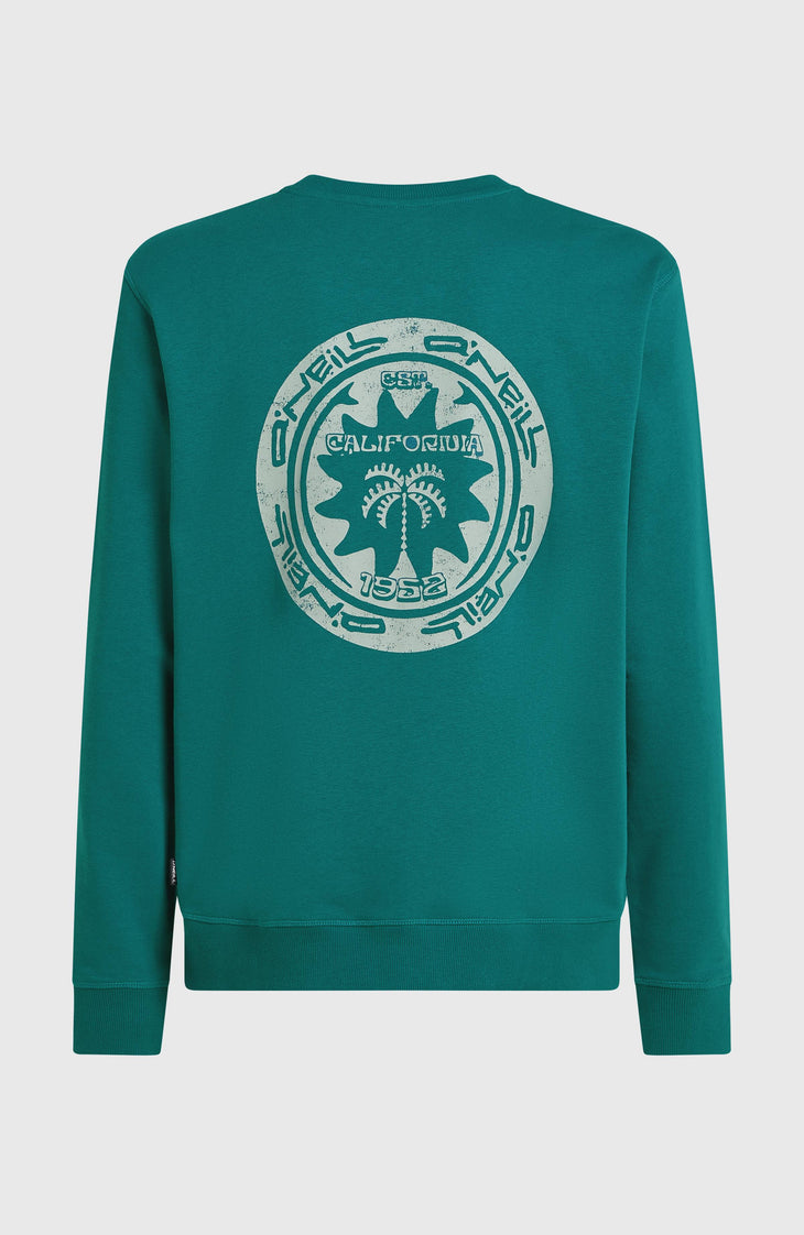 O'Neill Must-Have Graphic Crew sweater | Botanical Heat