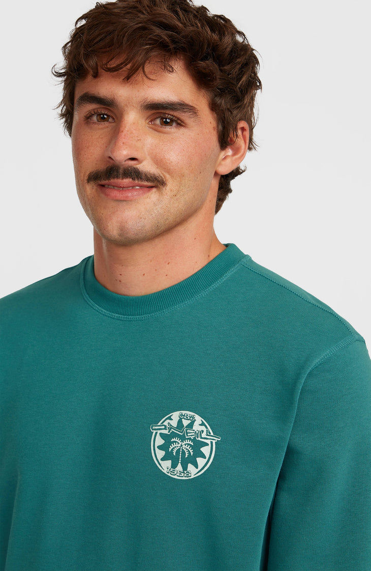 O'Neill Must-Have Graphic Crew sweater | Botanical Heat