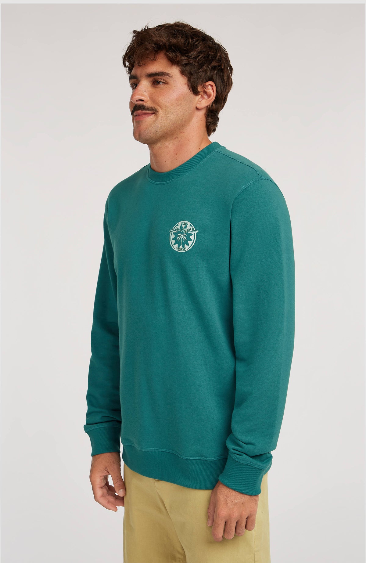 O'Neill Must-Have Graphic Crew sweater | Botanical Heat