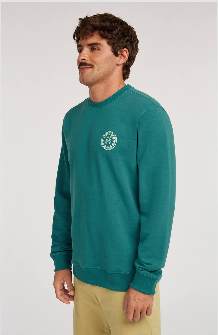 O'Neill Must-Have Graphic Crew sweater | Botanical Heat