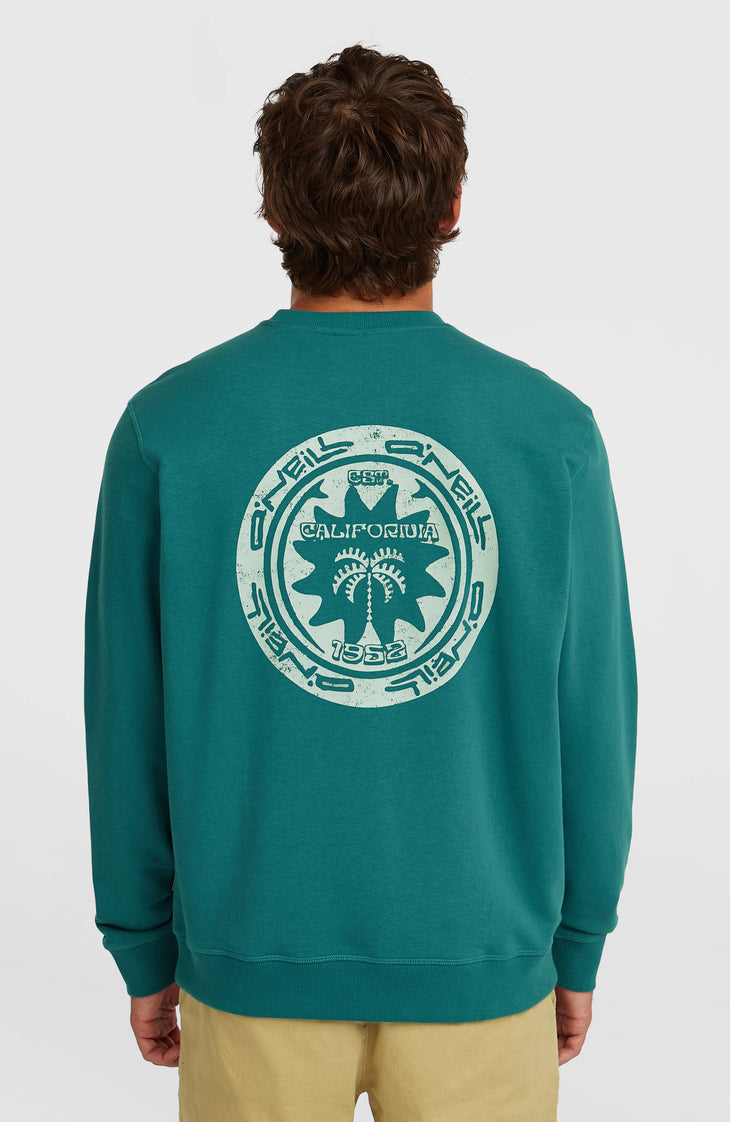 O'Neill Must-Have Graphic Crew sweater | Botanical Heat