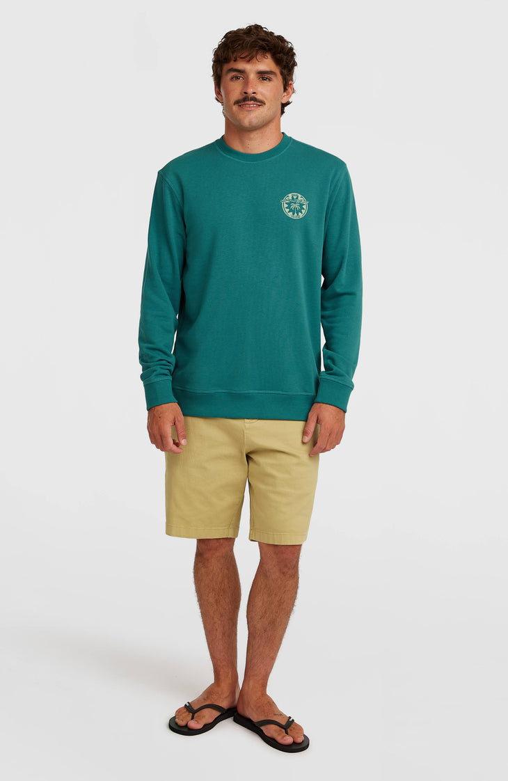 O'Neill Must-Have Graphic Crew sweater | Botanical Heat