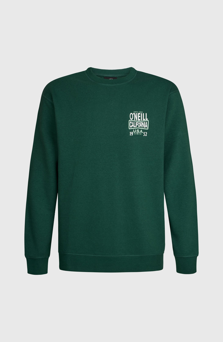 O'Neill Small Logo Crew sweater | Emerald Envy