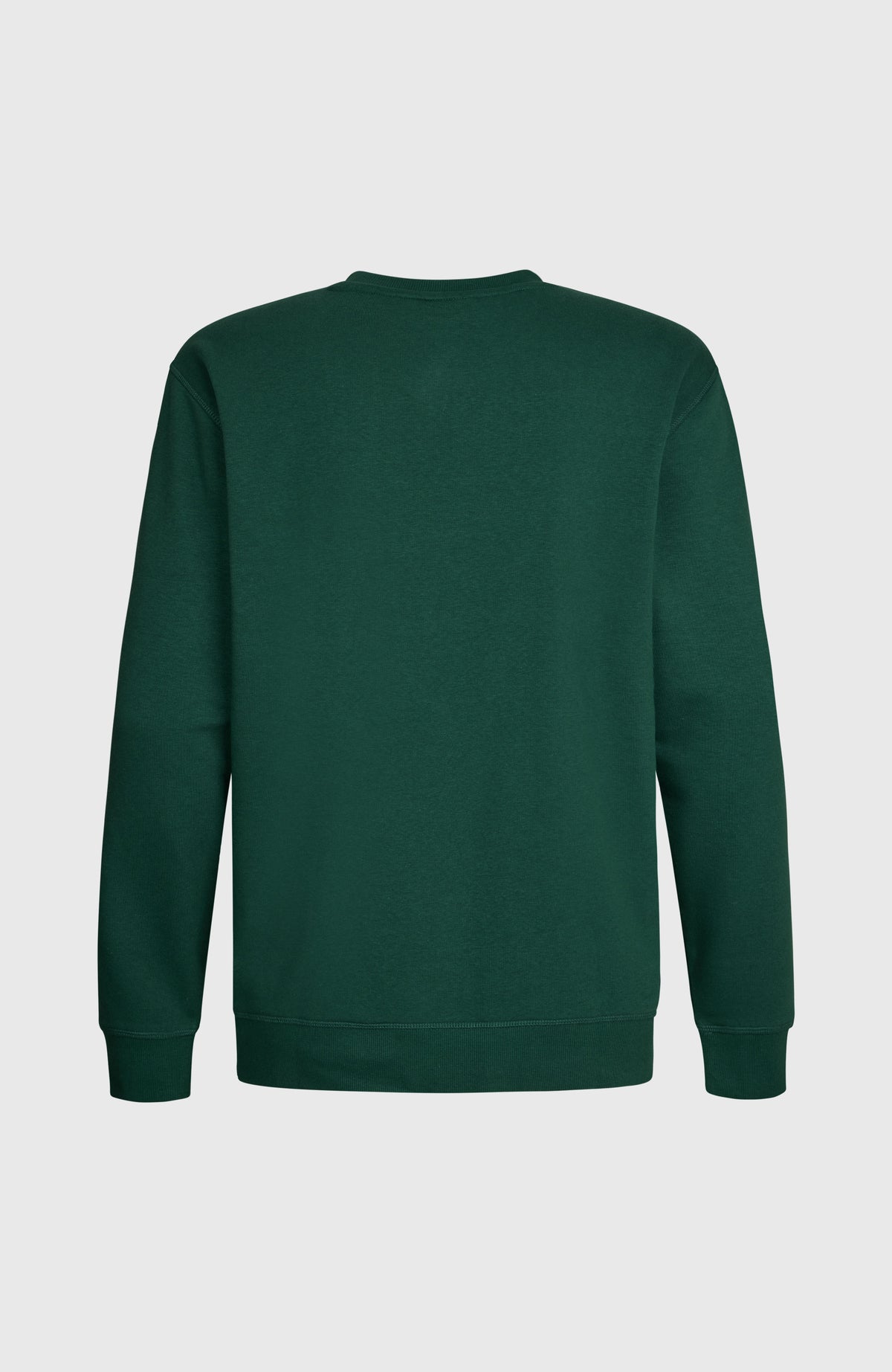 O'Neill Small Logo Crew sweater | Emerald Envy