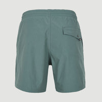 Zwemshort Vert Camorro 16'' | North Atlantic