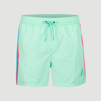 Zwemshort Vert Retro 14'' | Beach Glass